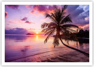 Produktbild von Poster - Poster ohne Rahmen - Strand Meer Palme - 100x70 cm - Wand Bild - Wanddeko - Wandbilder - Kunstposter - Wandposter - Bilder - Kunstdruck - Wanddekoration - Wandbild - P2XAA100x70-3912