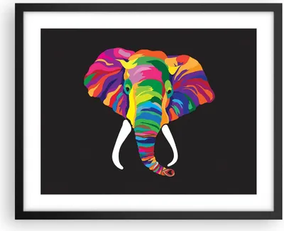 Produktbild von Gerahmtes Poster - Schwarzer Rahmen - Elefant spaß bunt tier - 50x40 cm - Wand Bild - Wanddeko - Wandbilder - Kunstposter - Wandposter - Bilderrahmen - Bilder - Kunstdruck - Wandbild - P2BAA50x40-2928