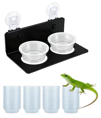 Produktbild von Gekko-Terrarium – Wassernapf für Reptilien – 100 Stück – Transparent