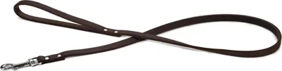 Produktbild von Beeztees 736333, Hund, Standardleine, Braun, Band, Einfarbig, Leder