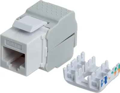 Immagine prodotto di Intellinet 167062 Intellinet Keystone Jack Cat6 UTP weiß
