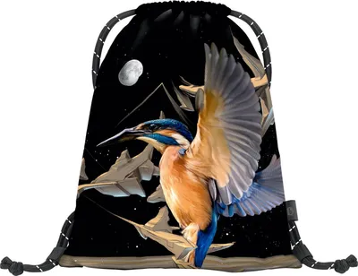 Produktbild von Baagl Turnbeutel für Mädchen, Jungen, Sportbeutel für Kinder, Teenager, Schule und Sport Schuhbeutel, Earth Sportsack (Kingfisher)
