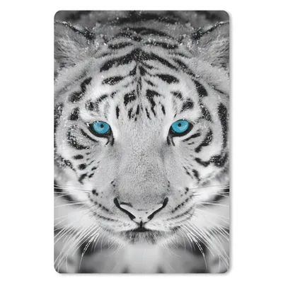 Produktbild von MuchoWow® Mauspad Mousepad Tiger - Winter - Tiere 18x27 cm - Mousepads - Maus Mat - Pad - Mausunterlage