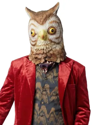 Zdjęcie produktu dla Sowa - kostium maska karnawał Halloween
