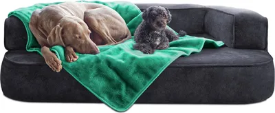 Produktbild von tierlando® Hundedecke LILLY Flauschige Haustier-, Welpen-, Katzen-, Plüschdecke - Größe: 150x100cm | Farbe: 13 Türkis