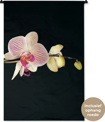 Produktbild von MuchoWow® Wandteppich Wandbehang Orchidee - Blumen - Schwarz - Rosa - Knöpfe 90x135 cm Tapisserie Dekoration Wandtuch - Baumwolle - Wandskulptur