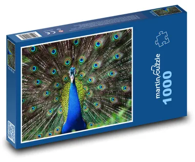 Obrázok produktu pre Puzzle 1000 Páv - majestátny vták - martinpuzzle