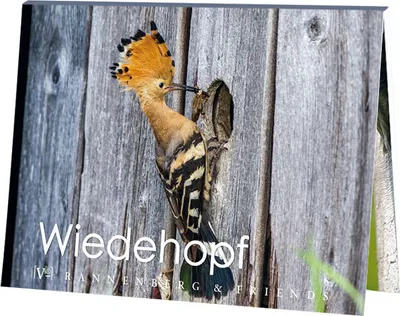 Produktbild von Postkartenbuch Wiedehopf, Postkartenbücher Ansichtskarte Postkarte Tier Vogel Vögel
