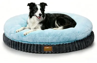 Immagine prodotto di Letto ortopedico per cani di grandi dimensioni, lavabile, 91 cm, color blu ghiaccio