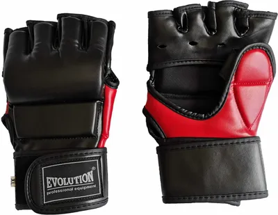 Produktbild von Boxhandschuhe MMA Evolution Red Fight - L