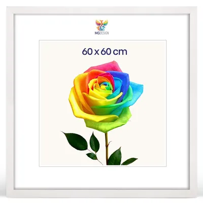 Produktbild von MG Design Bilderrahmen 60 x 60 cm - Posterrahmen mit Weiß Holzrahmen (Echtholz) und bruchsicherem Acrylglas, Hoch & Quer mit stabiler Wandaufhängung