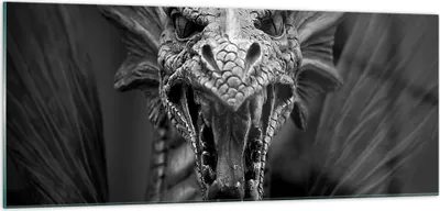 Produktbild von Bilder auf glas - Drache Kreatur Waage - 100x40cm - Glasbilder - Wandbilder - Kunstdruck - zum Aufhängen bereit - Wanddekoration aus Glas - Glas Bilder - Wandbild auf Glas - Einteilig - GAB100x40-0245
