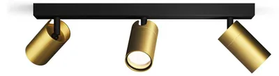 Image de Philips Spot de plafond/mural Idris, 3×, Spot pour rail, GU10, 3 ampoules, LED, 220-240 V, Noir