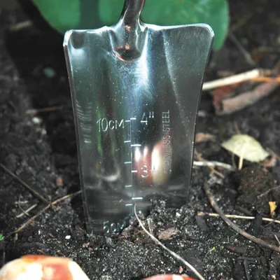 Obrázok produktu pre Záhradná lopata s drevenou násadou