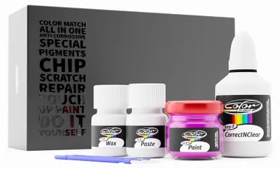 Lakstift set voor Renault Fuchsia Metallic LNE