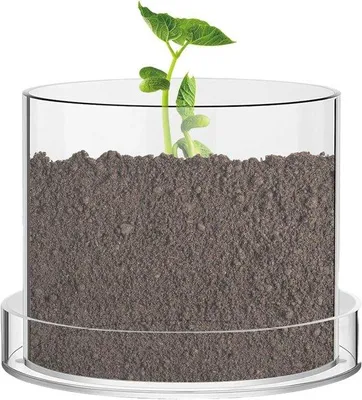 Produktbild von Pflanzenpot mit Untersetzer - Transparente Blumentöpfe - 12 x 14 x 12 cm - Transparent