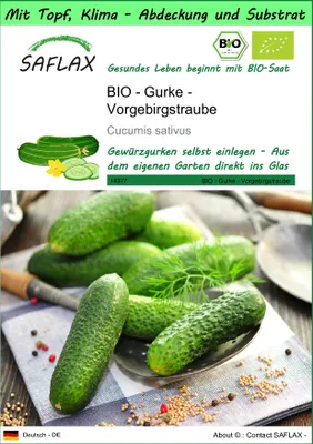 Produktbild von SAFLAX Garden to go - BIO - Gurke - Vorgebirgstraube - Cucumis sativus - 15 Samen - Mit Topf, Klima - Deckel und Anzuchtsubstrat
