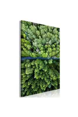 Produktbild von Italienischer Leinwand Leinwandbild - Road Through Forest (1 Part) Vertical 40x60 cm Landschaften c-B-0402-b-a