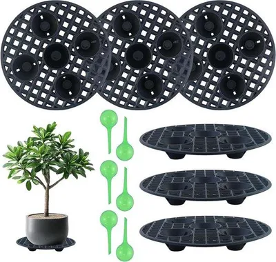 Produktbild von Pflanzstandart - 6 Stück - mit Bewässerungsmaschine - 20 cm