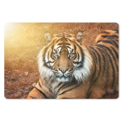 Produktbild von MuchoWow® Schreibtischunterlage Porträt - Tiger - Sonne 60x40 cm - XXL Mauspad - Großes Mauspad