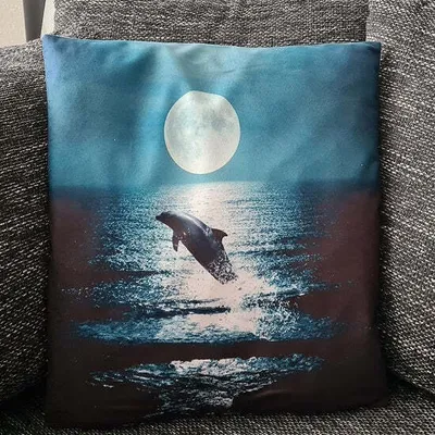 Obrázek produktu pro Povlak na polštářek Delfín v měsíčním světle - 45 cm x 45 cm