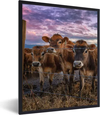 Produktbild von MuchoWow® Gerahmtes Poster Kuh - Tiere - Kühe 30x40 cm - Poster mit Schwarzem Bilderrahmen Wandposter Rahmen Foto Bilder - Wanddeko - Kunstdrucke