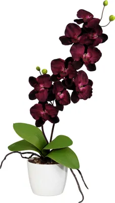 Produktbild von ohne Marke Kunstpflanze Orchidee beere/grün OneSize