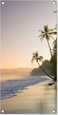 Produktbild von MuchoWow® 40x80 cm Outdoor-Poster Gartendeko Sichtschutz Garten Poster für den Garten  Strand - Meer - Palme