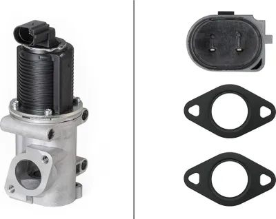 Produktbild von HELLA 6NU 010 171-541 AGR-Ventil mit Dichtungen für OPEL ZAFIRA B (A05) Abgasrückführungsventil