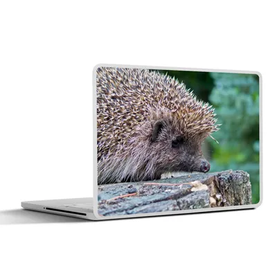 Produktbild von MuchoWow® Laptop Aufkleber Sticker Cover Igel auf Baum 25x18 cm - Laptop-Deko