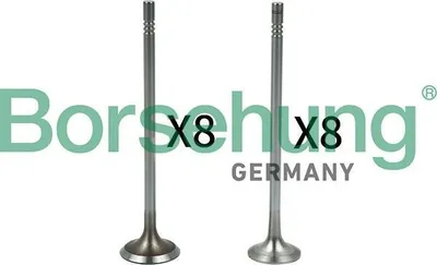 Produktbild von Borsehung Ventil B18632 für VW Golf VII Schrägheck (5G1, BQ1, BE1, BE2)