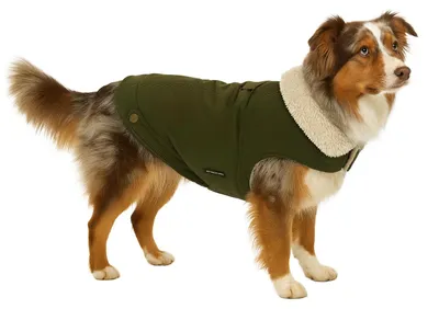 Immagine prodotto di Cappotto per cani Flamingo Endor color cachi, lunghezza dorso: 55 cm