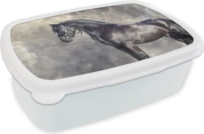 Produktbild von KitchenYeah® Lunchbox Brotzeit Brotdose 17x11 cm Friese - Pferde - Porträt Kinder Brotzeitdose - Lunch Box - Kinder - Sandwich-Box - Schulbox - Lunch Boxen