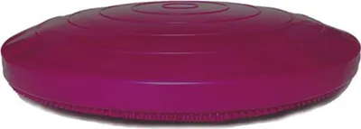 Immagine prodotto di Disco di equilibrio FitPAWS per animali domestici 56 cm Razzleberry