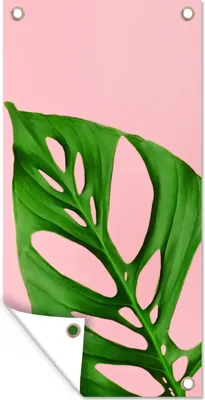 Obrázek produktu pro MuchoWow® Zahradní plakáty - Botanický list s jasnou barvou na pozadí - 200x100 cm - Zahradní dekorace