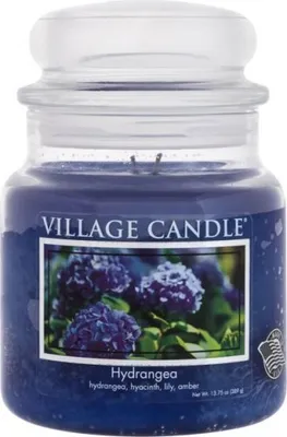 Produktbild von Duftkerze - Hydrangea Brenndauer: 105 Stunden