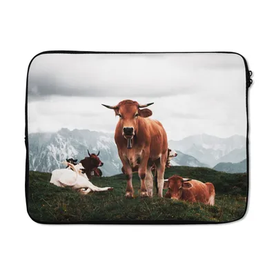Produktbild von MuchoWow® Laptop Hülle 17 Zoll Laptoptasche Tiere - Kuh - Berg - Zipper - Schutzabdeckung