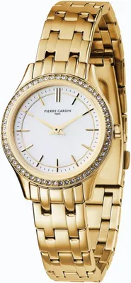 Immagine prodotto di Orologi Pierre Cardin cf0611seg
