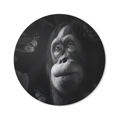 Produktbild von MuchoWow® Mauspad Mousepad Schmetterling - Affe - Dschungel - Schwarz - Weiß 30x30 cm - Mousepads - Maus Mat - Pad - Mausunterlage - Tischunterlage - Schreibtischmatten