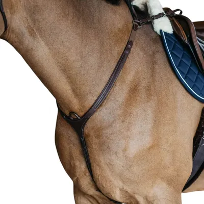 Immagine prodotto di Dy'on pettorale intrecciato con ponte Nuova Collezione Inglese Marrone Completo