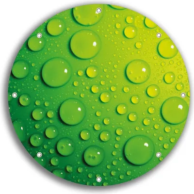 Produktbild von Wallario rundes Outdoor-Poster für Garten oder Balkon, Motiv Wassertropfen auf Grün, 30 cm Durchmesser