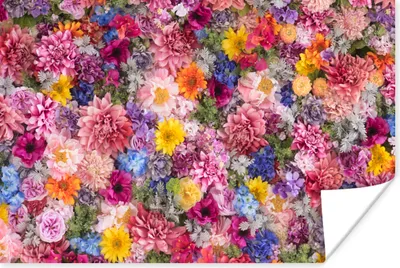 Produktbild von MuchoWow® Poster Blumen - Farben - Collage 180x120 cm - Fotoplakat