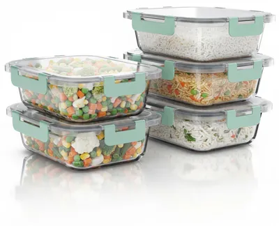 Immagine prodotto di Set di 5 contenitori ermetici Arendo, contenitori per alimenti in vetro borosilicato, capacità di 1040 ml ciascuno, chiusura a scatto con guarnizione in silicone, ermetici, a prova di perdite, adatti al forno, trasparenti/color menta