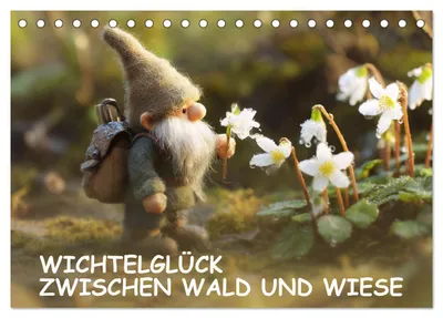 Produktbild von Wichtelglück zwischen Wald und Wiese (Tischkalender 2027 DIN A5 quer), CALVENDO Monatskalender