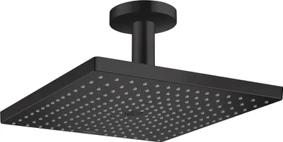 Produktbild von HANSGROHE 26251670 Handbrause Raindance Select S 120