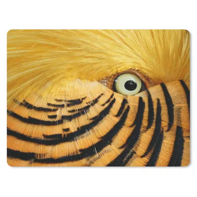 Produktbild von MuchoWow® Mauspad Mousepad Nahaufnahme des Auges eines Vogels mit gelben Federn und schwarzen Streifen 23x19 cm - Mousepads - Maus Mat - Pad - Mausunterlage - Schreibtischunterlage - Mauspad