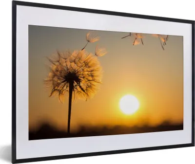Produktbild von MuchoWow® Gerahmtes Poster Löwenzahn - Sonne - Sonnenuntergang 60x40 cm - Poster mit Schwarzem Bilderrahmen Wandposter Rahmen Foto Bilder - Schlafzimmer - Plakat in Rahmen - Drucken