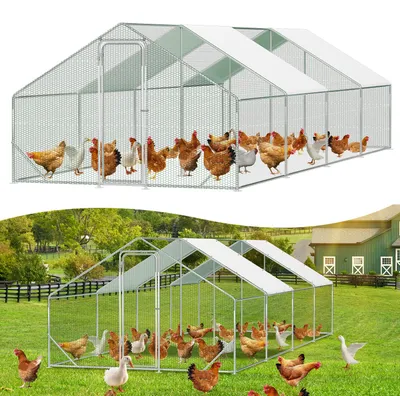 Immagine prodotto di Recinto per polli Ikodm, dimensioni 3 x 8 x 2 metri, superficie di 24 m², tetto a punta, tubi zincati da 25 mm, rete metallica in PVC verde e telo di copertura in polietilene bianco con protezione UV