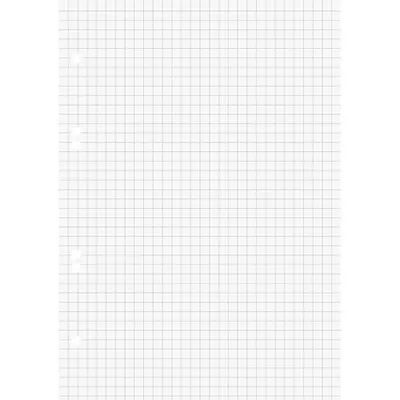 Produktbild von BRUNNEN Ringbucheinlage A5 kariert 100 Blatt 1066332