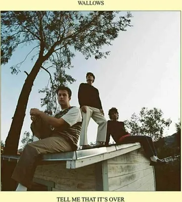 Produktbild von Wallows - Tell Me That It's Over (Yellow Vinyl) (LP)